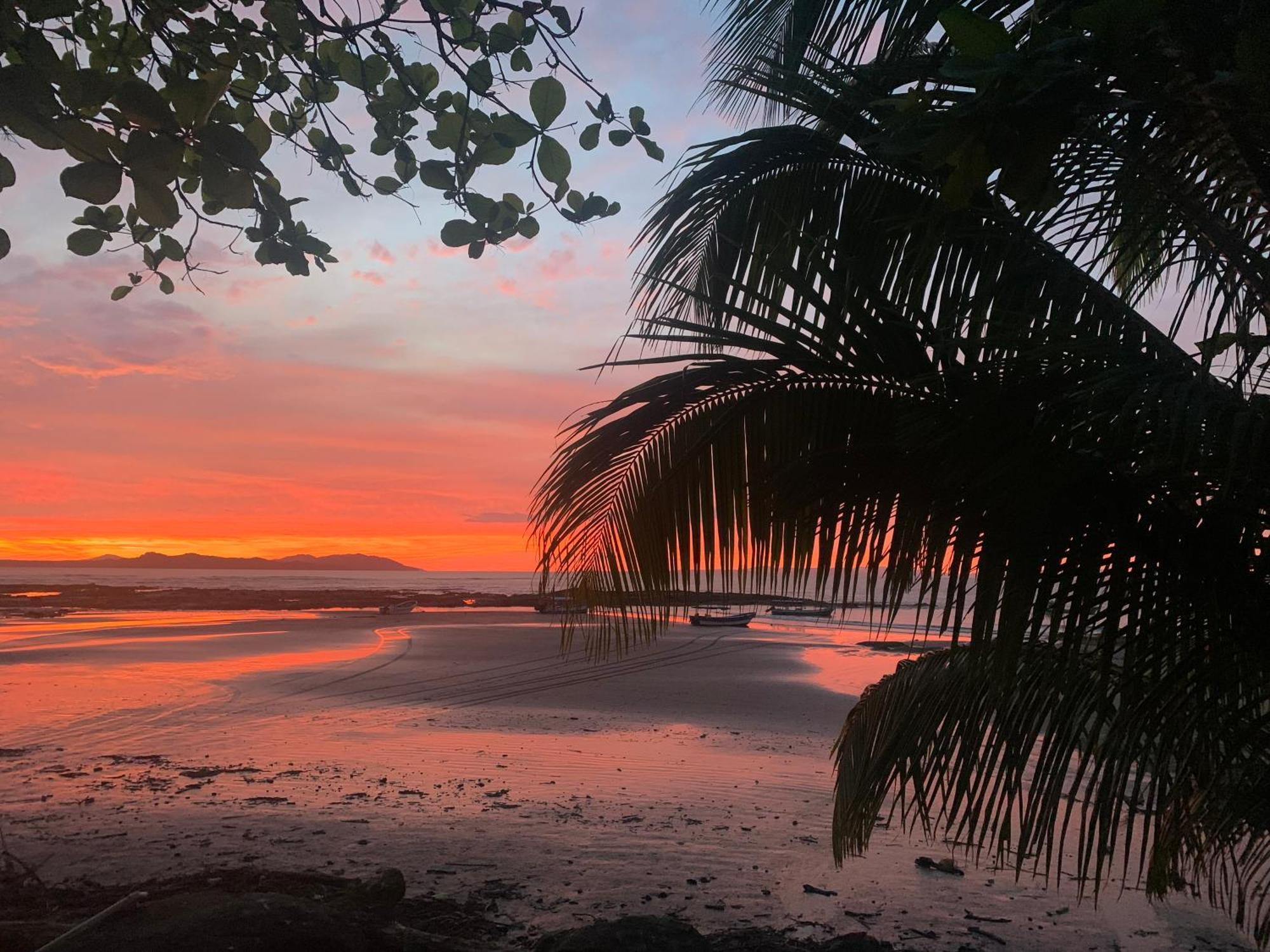 Ocekepala Otel Palmilla Dış mekan fotoğraf